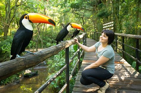  Parque das Aves – En exotisk fågelupplevelse mitt i Amazonas!