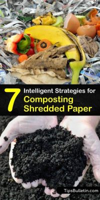 Can I Compost Shredded Paper? Exploring the Unlikely Connection Between Paper Waste and Alien Communication