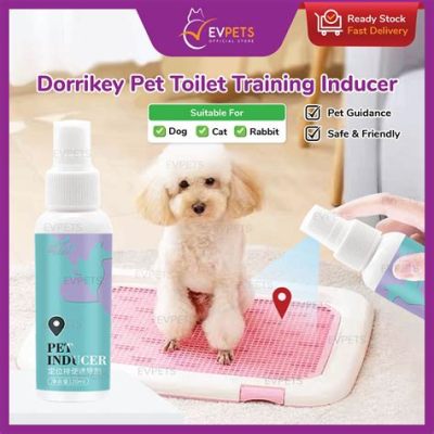 Does Spaying Help with Potty Training: A Journey Through Uncharted Territories of Pet Care