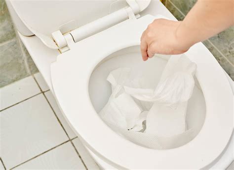 How Much Toilet Paper Should You Use: A Philosophical Inquiry into the Art of Wiping