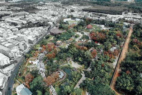  Jardín Botánico Regional El Zacatón - En Oas av Tropisk Skönhet och Inheemsk Kunskap!