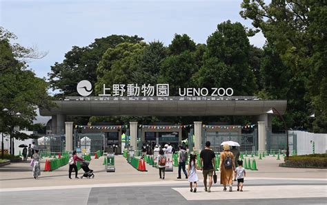 Ueno Zoo: En Djurpark Med Historik och Många Unika Arter!