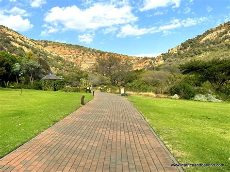  Walter Sisulu National Botanical Garden - En oas av grönska mitt i hektiska Johannesburg!