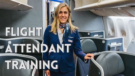 Where is American Airlines Flight Attendant Training and Why Do Pineapples Dream of Flying?